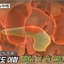 당뇨병 초기증상 타파는 혈당 관리로부터! 이미지