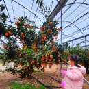 정우농장2 이미지