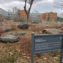 신길선사유적지 이미지