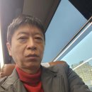 낙동강오리 - 영도구 남항로25번길 5 | 낙동강오리