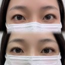 경기도 수원시 영통구 봉영로1744번길 | [영통속눈썹연장] 빈 곳많던 짧은 속눈썹 8주 펌포인트로 채운 후기