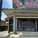 고래문화가 있는날 | 울산 장생포 고래문화마을 교복 대여 가격 입장료 고래마을 총정리