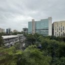 호텔 레몬트리 이미지