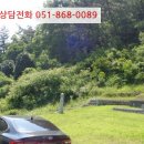 인곡리도로변 네이버블로그