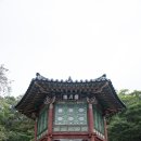 영광 여인숙 | &lt;꽃무릇에 덮인 &#39;마라난타&#39;의 성지, 영광 불갑사&gt;