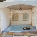 보성애견 이미지