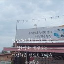 고인돌생삼겹살구이 | 건강한 쌈채소가 한가득 나오는 고창군 맛집 텃밭쌈밥식당