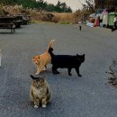 헤브론힐리조트 이미지