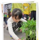 Today is tree-planting day. 이미지