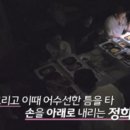 정희손