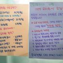 도그토피아 이미지