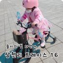 엠티브이16로 | 유아자전거 추천 | 삼천리자전거 트레이스 16 2026 솔직 후기