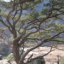 조엄기념관 이미지