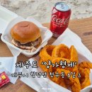 어니언 | 제주도 서쪽 맛집 양가형제 본점 수제버거 맛집 어니언링 후기