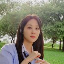 비그로브 그로브 이미지