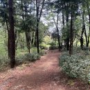 해피엔딩 | 창원 숲체험/창원 숲놀이터, 꿈틀그린 다녀온 후기