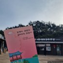 서천 마량리 동백나무 숲 | [충남 서천]마량리 동백나무 숲 후기
