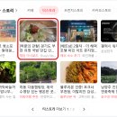 부흥로336번길 이미지