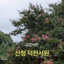 덕천서원화장실 이미지