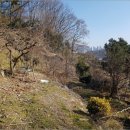 회원동335 이미지