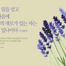 시온의 대로 이미지