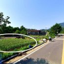 일반농장 이미지