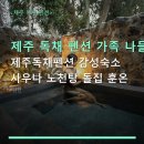 훈세탁 | 제주 독채 펜션 가족 나들이 제주독채펜션 감성숙소 사우나 노천탕 돌집 훈온 주차·예약·가격 정보 수록