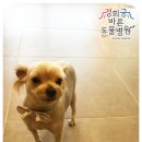 경희궁 바른 동물병원 이미지