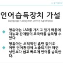 선천가설 이미지