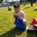 정남농촌체험휴양마을 이미지