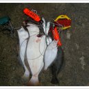 장어만 - 시흥시 진말로 5 | 장어만