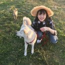 나홀로민박 이미지