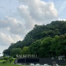 힐숲작은도서관 | 그랜드워커힐 내돈내산 호캉스 후기 1탄 ✨/ 디럭스트윈룸, 라이브러리, 수영장