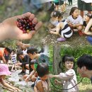 그림책 생태놀이 ‘가을 바람 솔솔솔’ | [국내1박2일여행 갈만한 곳] 괴산 유기농 마을 가족여행