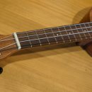 우쿨렐레 1:1 개인레슨 이미지