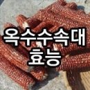 옥수수 속대 효능 이미지