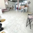 도도하개 이미지