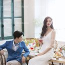 로이컴퍼니 네이버블로그