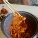 도그의 하루 이미지