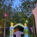 별빛이흐른다 이미지