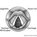 제마한의원 이미지