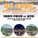자유렌트카