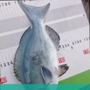 피싱스토리 - 남동구 앵고개로934번길 51 | 피싱스토리