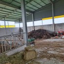 우사축사 이미지