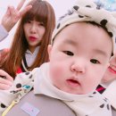 아라미장식 | 전주 핑크뮬리가 예쁜 한국도로공사수목원 가벼운나들이로 최고~
