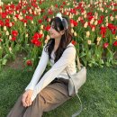 용인 에버랜드 놀거리 티켓 주차장 할인 불꽃놀이 튤립축제 데이트