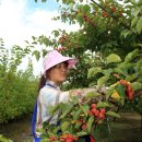 밀양꾸지뽕 영농조합법인 이미지