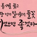 나우엔