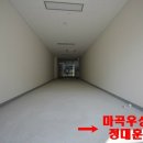 마곡우성공인중개사사무소 이미지