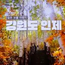 (주)맨투맨투어 이미지